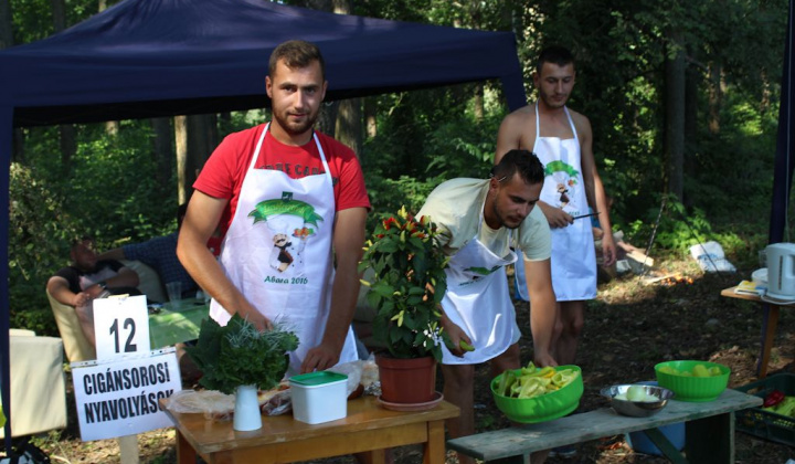 Lečo festivál 2016